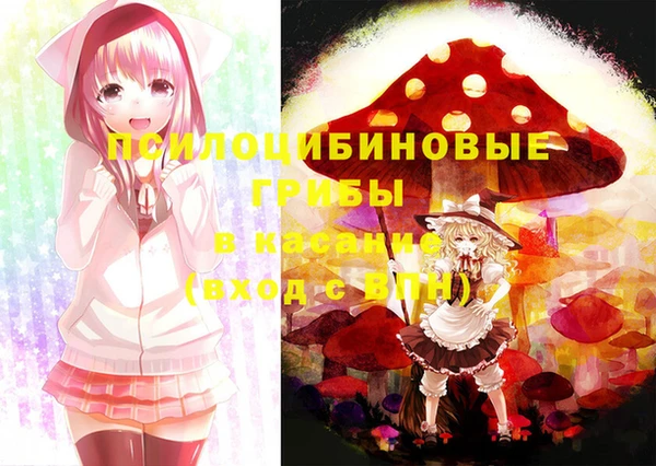 дмт Алексеевка