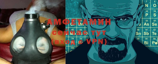 мет Алексин