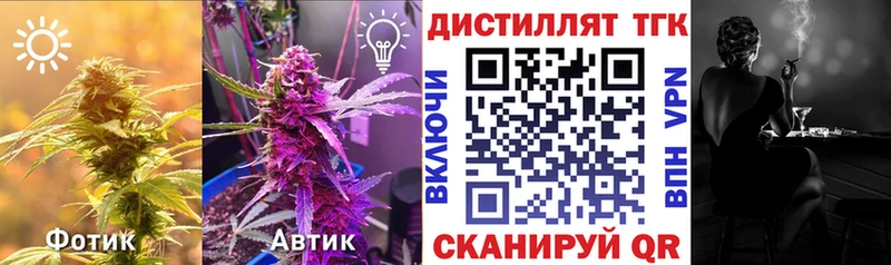 дарнет шоп  Кукмор  Дистиллят ТГК концентрат 