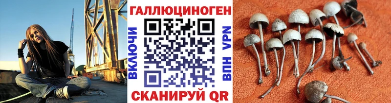 цены наркотик  Кукмор  Галлюциногенные грибы MAGIC MUSHROOMS 
